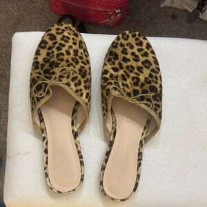 LOEFFLER RANDALL FLATS